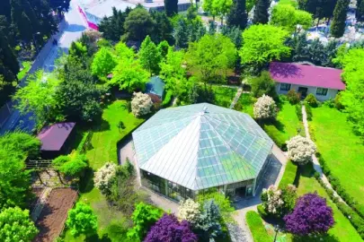 Tıbbi bitkilerle donanmış bir bahçe